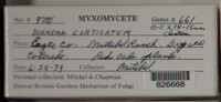 Image Associated With the Occurence